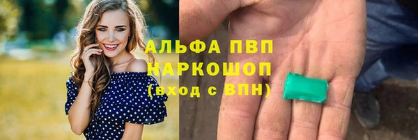 МДПВ Нея