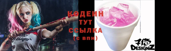 МДПВ Нея