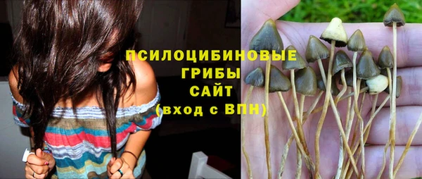 МДПВ Нефтекумск
